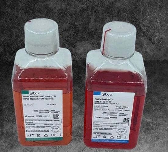 澳洲進(jìn)口Gibco胎牛血清的特性及用途 澳洲進(jìn)口Gibco胎牛血清的特性及用途