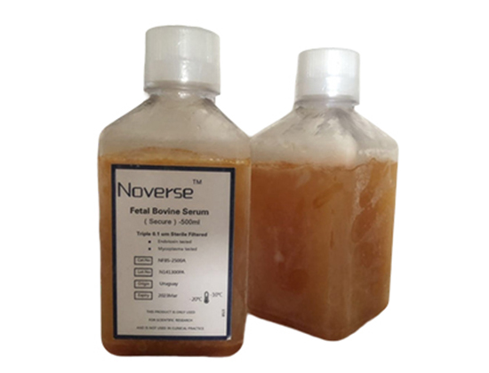 1Gibco澳洲胎牛血清價格大概多少 1Gibco澳洲胎牛血清價格大概多少